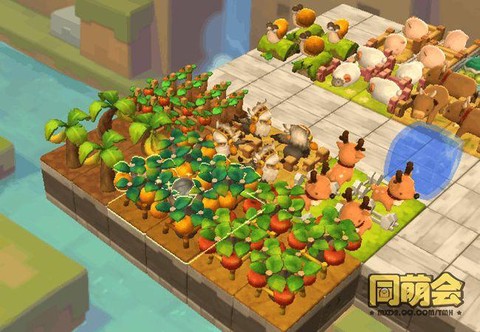 冒险岛2畜牧养什么