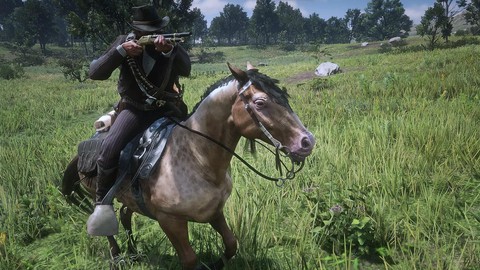 荒野大镖客2什么血统[图2]