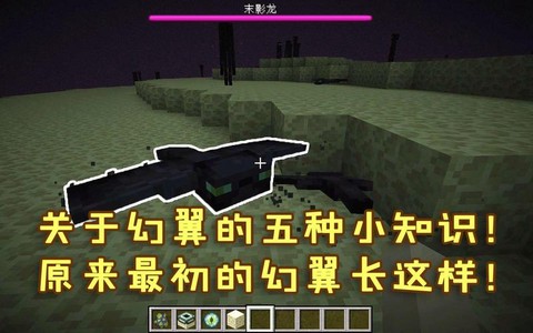 我的世界幻翼怎么驯服[图2]