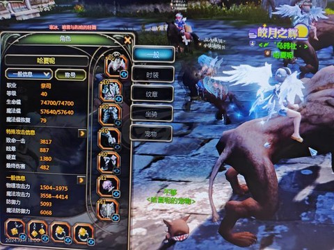 龙之谷竞技猫是什么