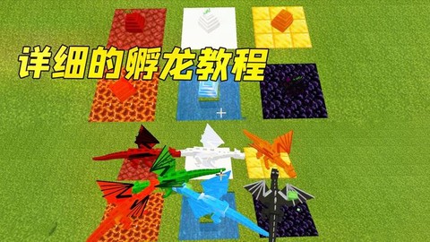 我的世界火龙怎么孵化[图2]
