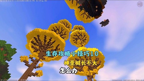 迷你世界怎么让树长高