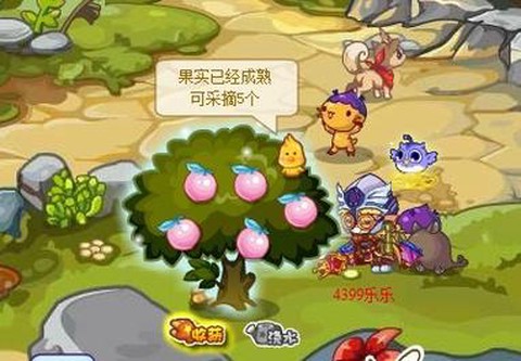 洛克王国怎么得可可果[图2]